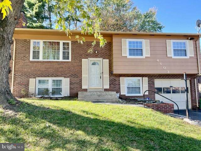 4603 Kerrydale Place - Photo 1