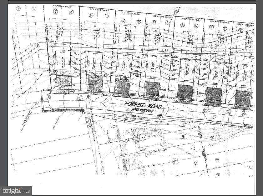 149 Forest Road - Photo 1
