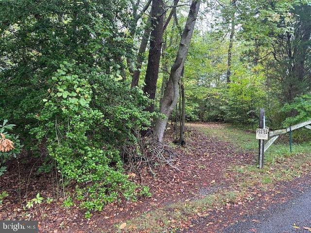 45410 Clarks Mill Road - Photo 1
