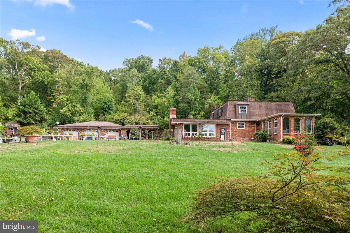 100 Flippo Road - Photo 1