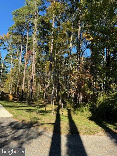 Lot 8 Ackerman Drive - Photo 1