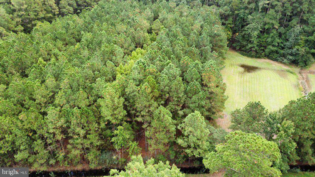 0 Fitzgerald Rd - Photo 1