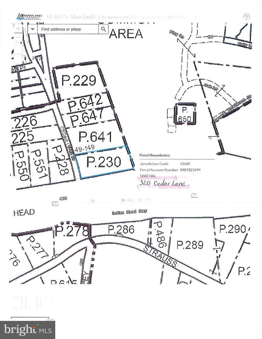 520 Cedar Lane - Photo 2