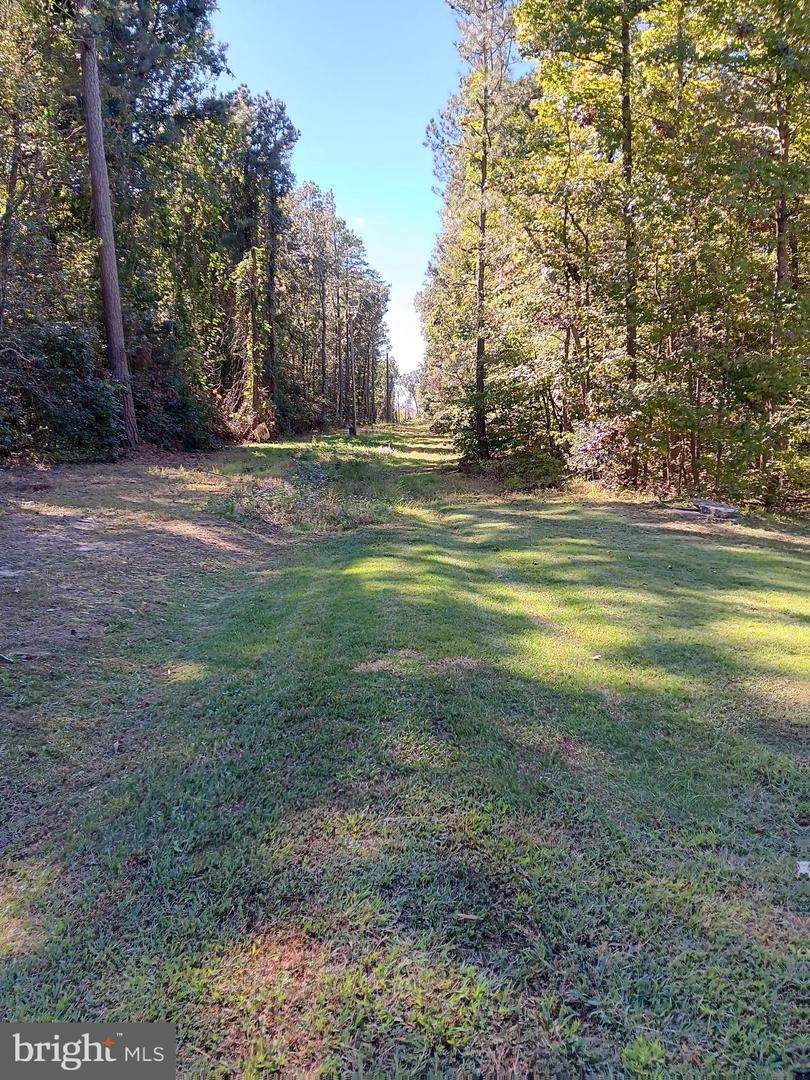 Maple Drive - Photo 1