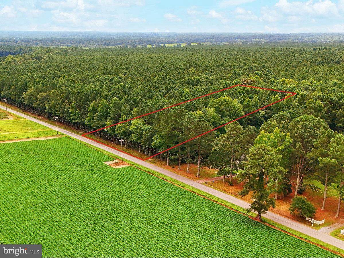 Rivers Mill Rd. - Photo 1