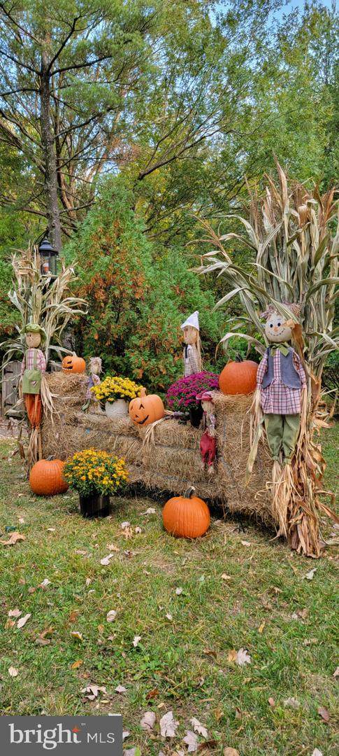 20 Haws Lane - Photo 1