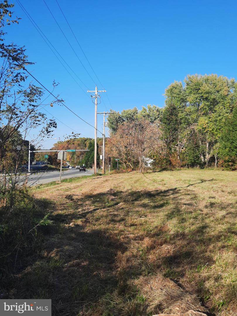 2950 Chaney Road - Photo 1