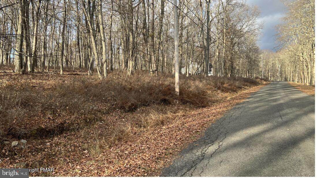 Lot 288 Doe Loop - Photo 1