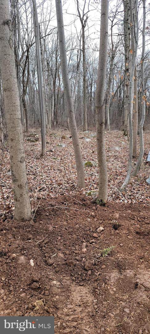 915 Narragansett Trail - Photo 1