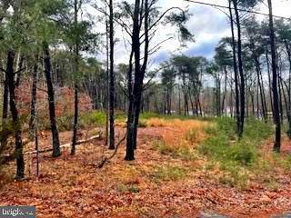 Gravelly Hill Rd - Photo 1