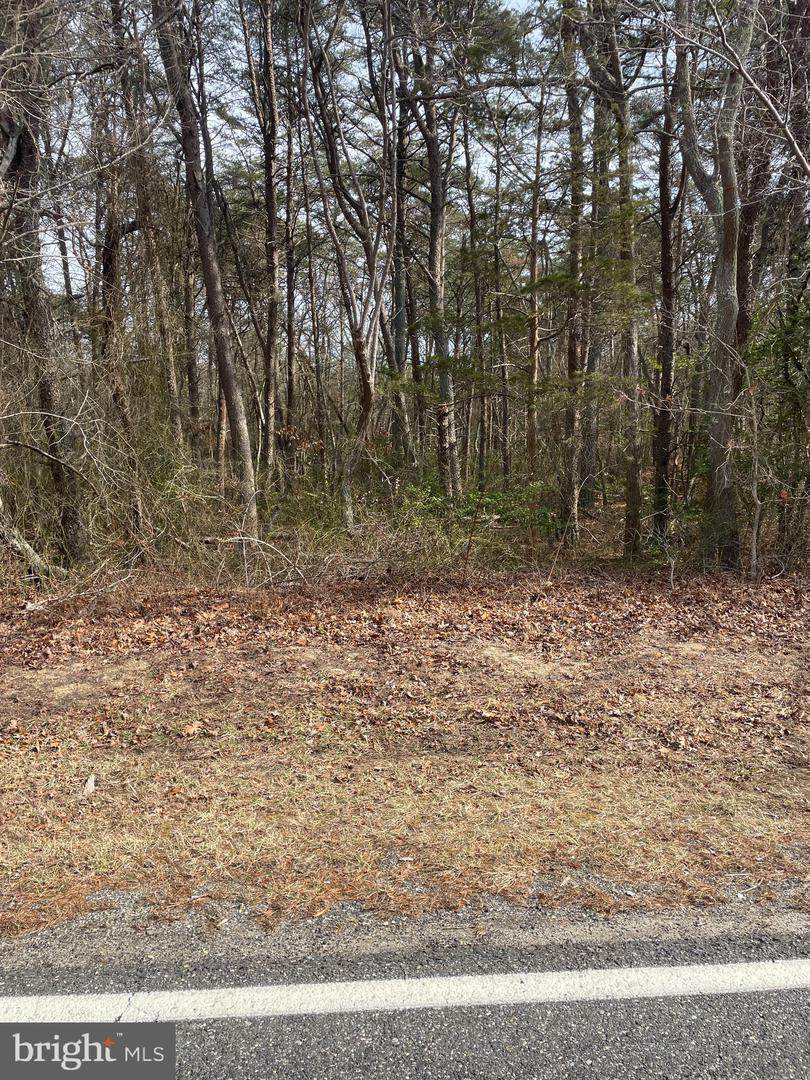 Nark-Lawn Ave - Photo 1