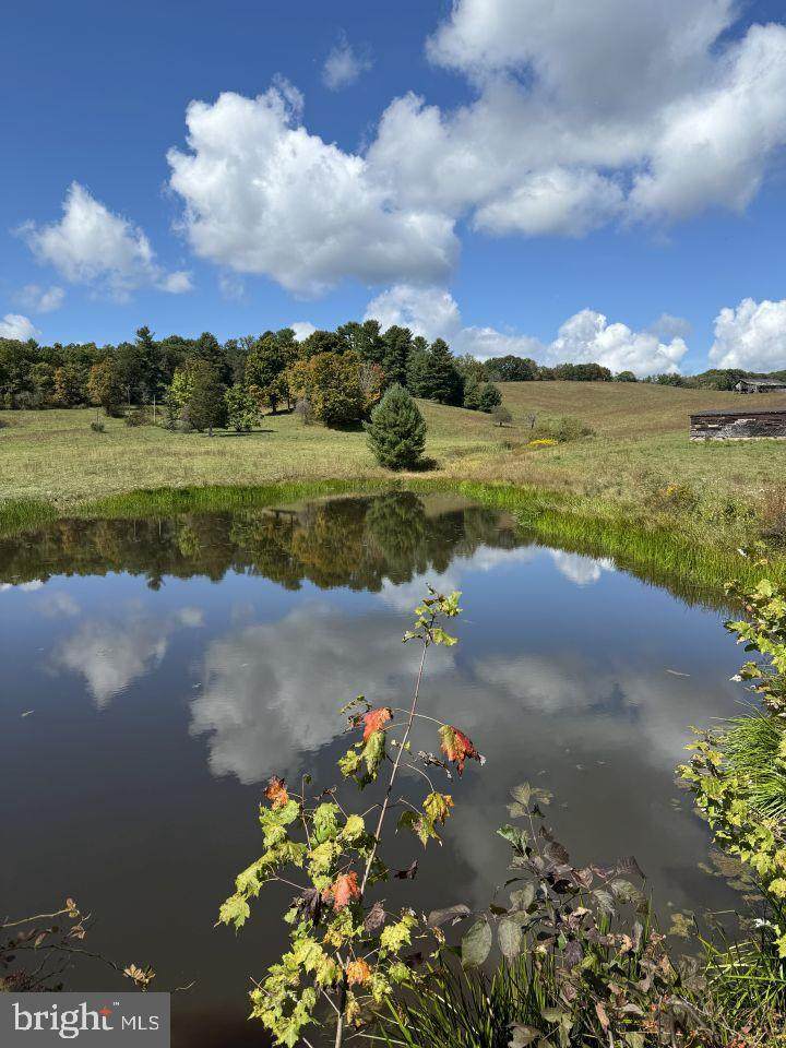 0 Kates Mountain - Photo 1