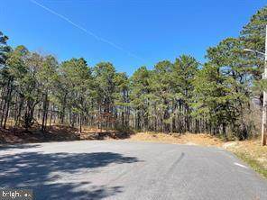 126 Trim Lane - Photo 1