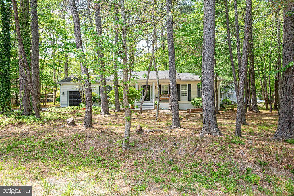 73 Birdnest Drive - Photo 1