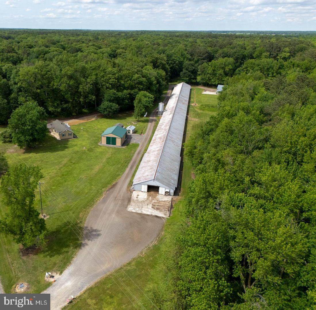 1801 Starr Road - Photo 1