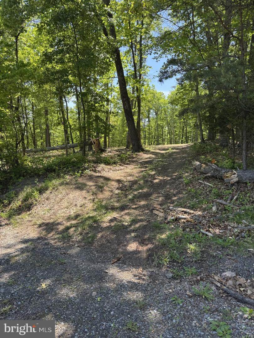 LOT 3 Ridgeview Road - Photo 1