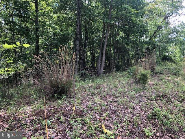 Lot 1 Jones Springs West Road - Photo 1