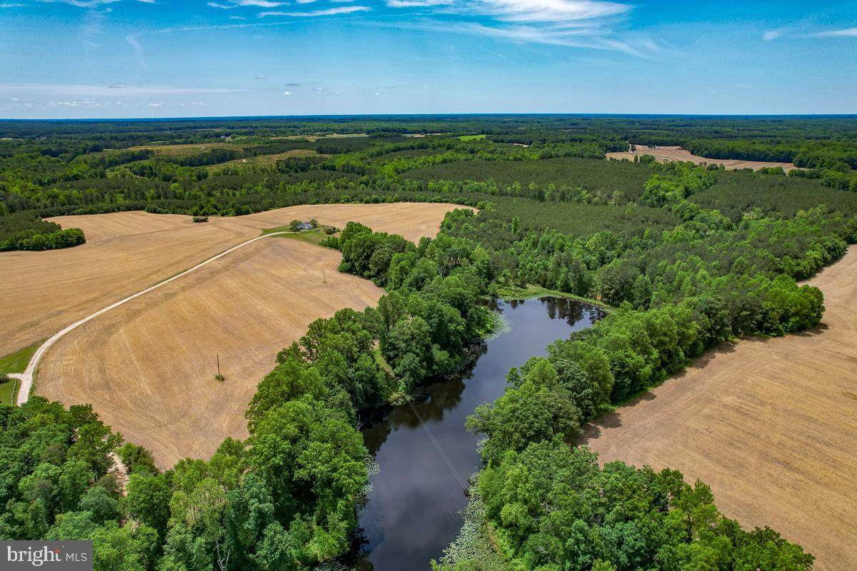 32082 Sparta Road - Photo 1