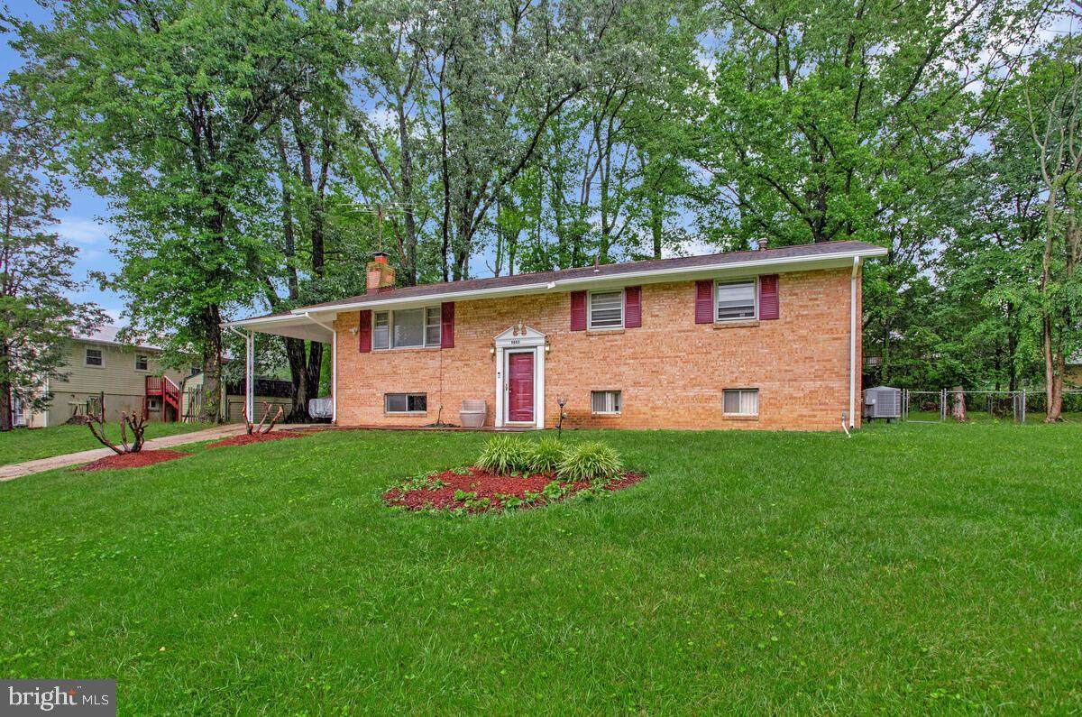 9803 Luke Court - Photo 1