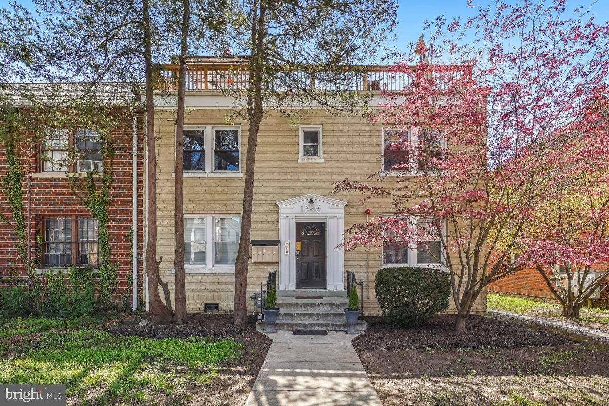 1346 Nicholson Street - Photo 1