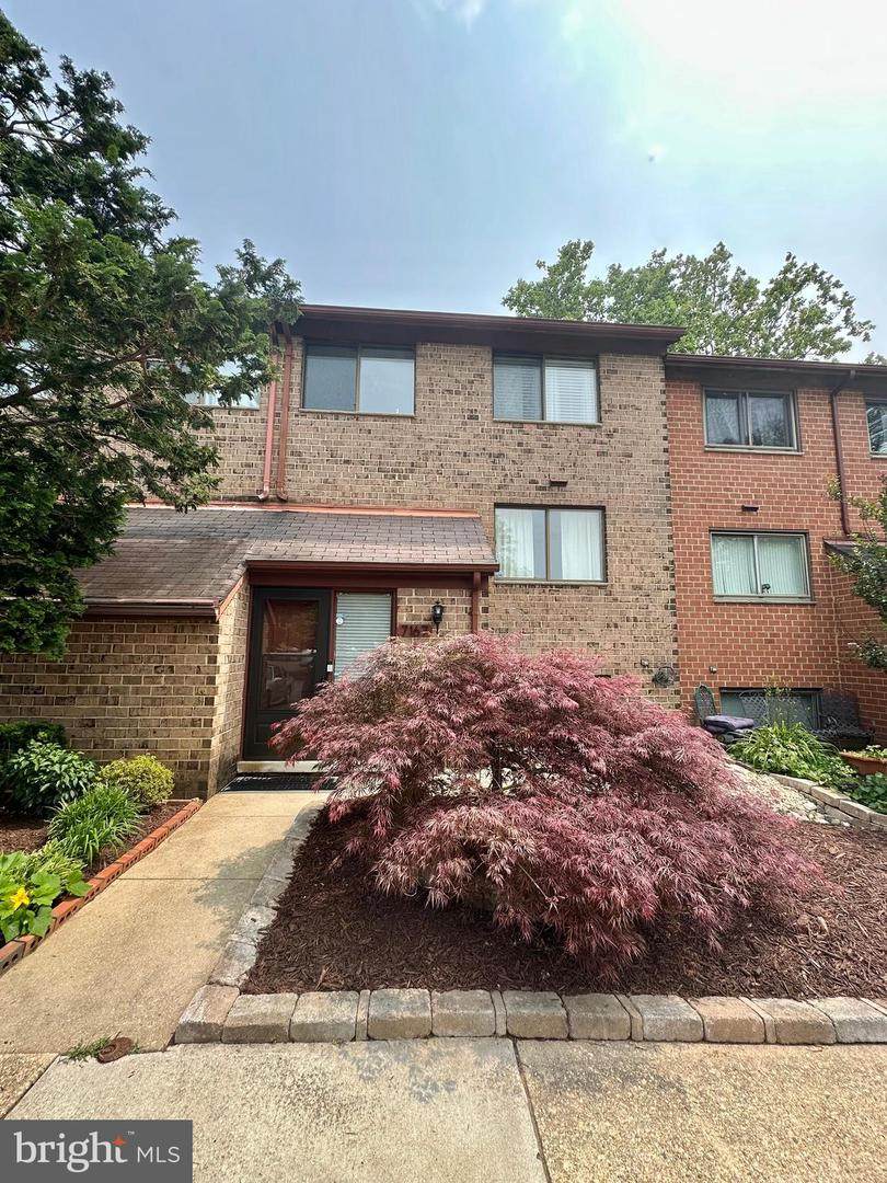 7167 Winter Rose Path - Photo 1