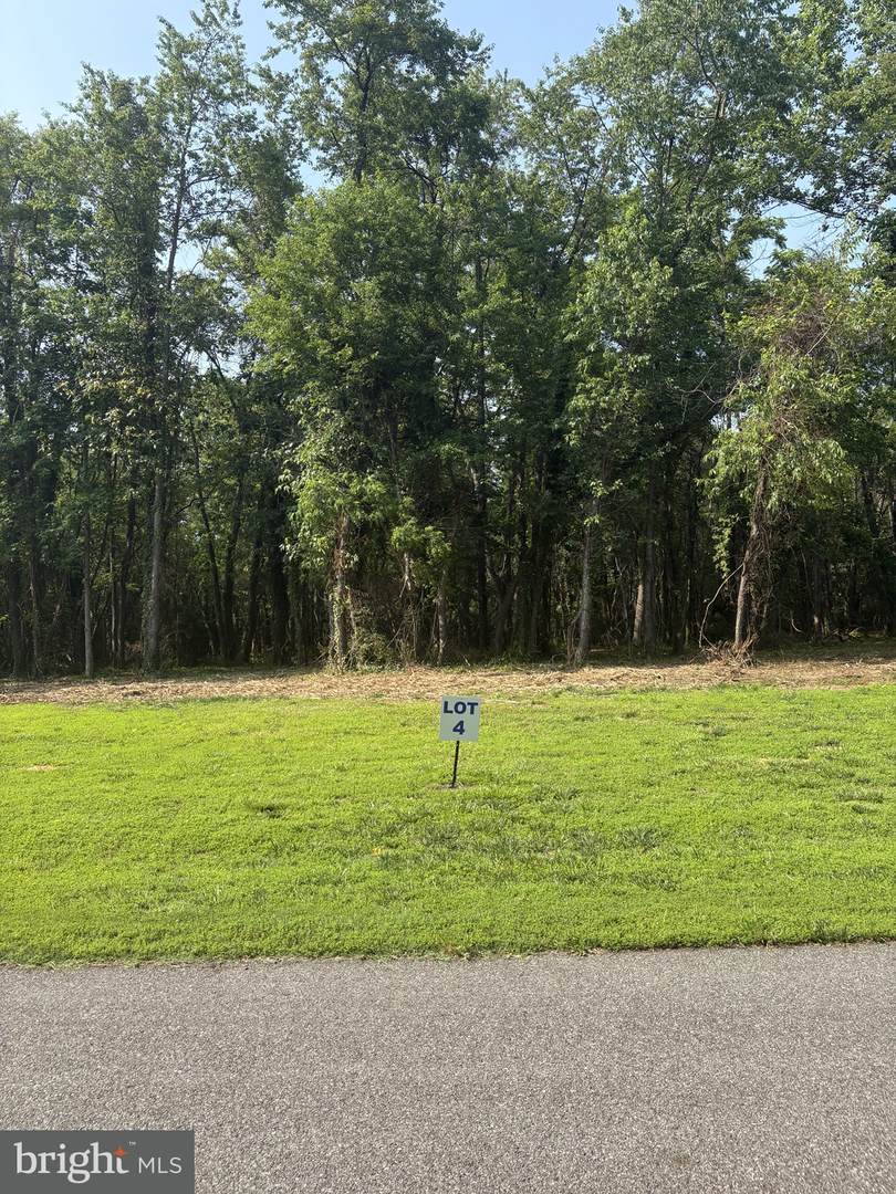 4 Wilson Point Road - Photo 1