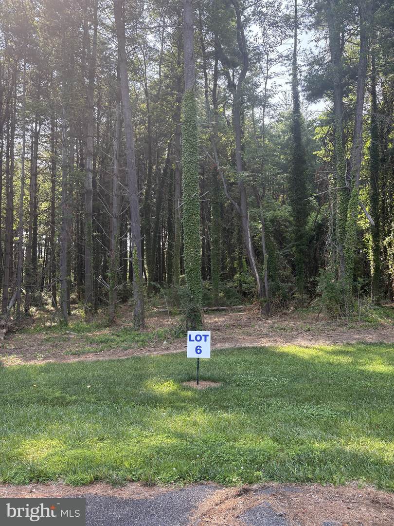 6 Wilson Point Road - Photo 1