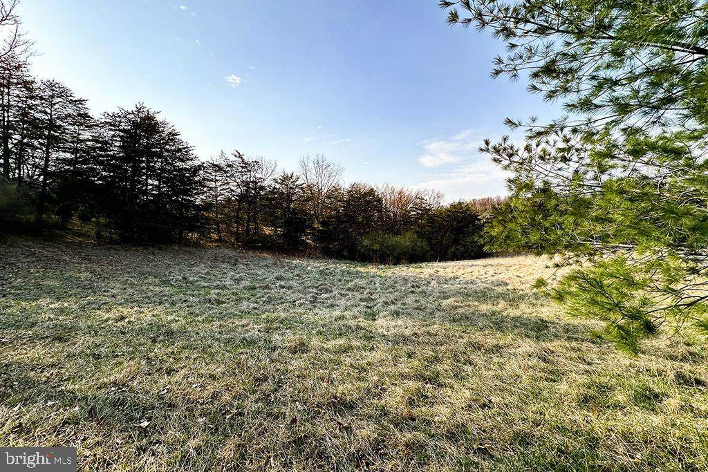 0 Adams Road - Photo 1