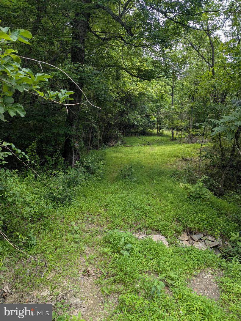 6.1 and 1.57 Acres Chestnut Hill Road - Photo 1