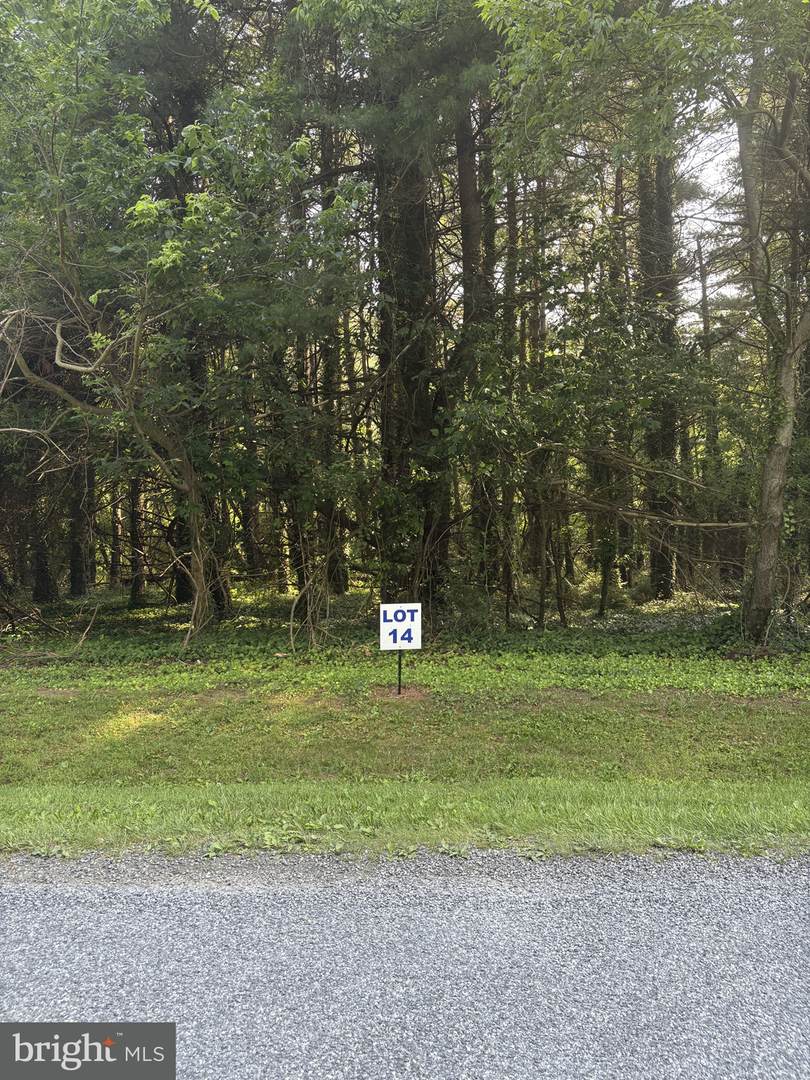 14 Wilson Point Road - Photo 1