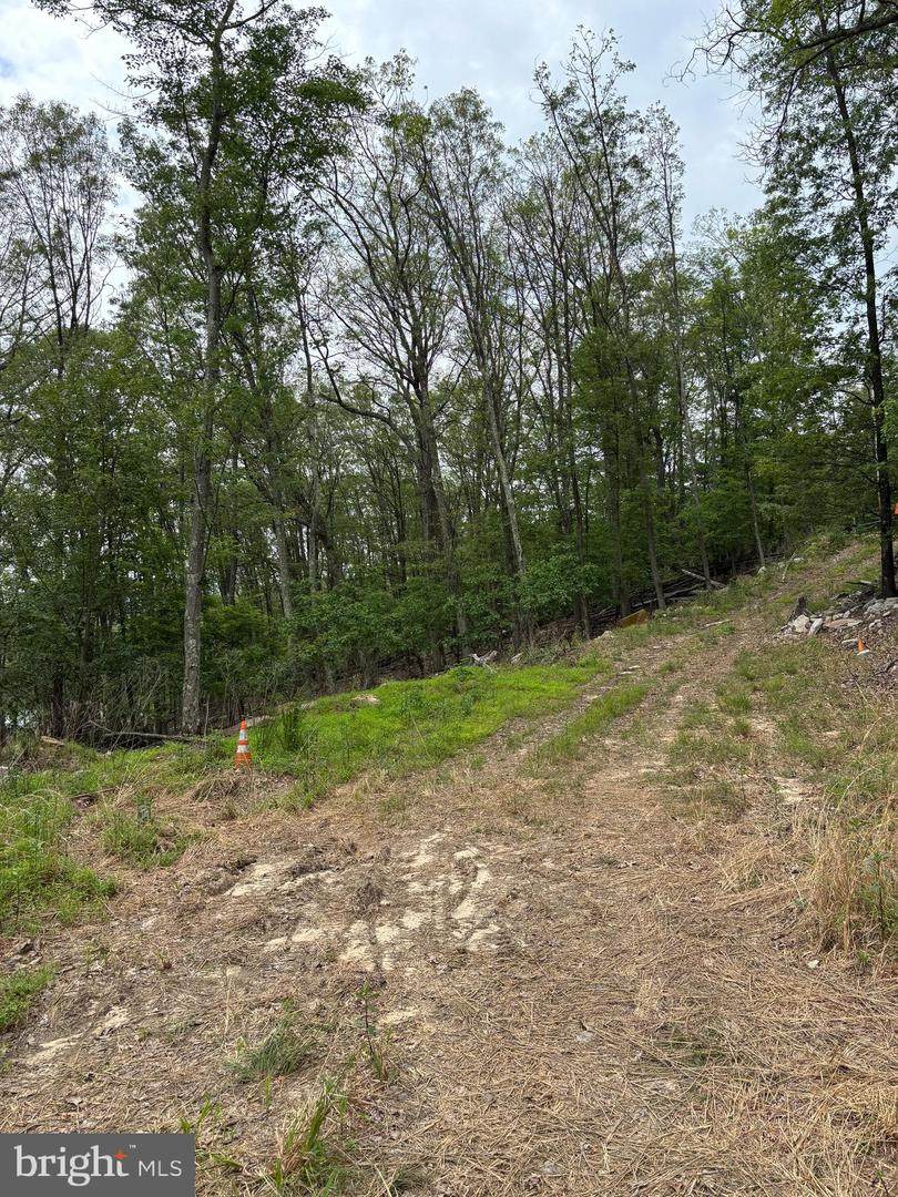 Lot 17 Robert's Lane - Photo 1