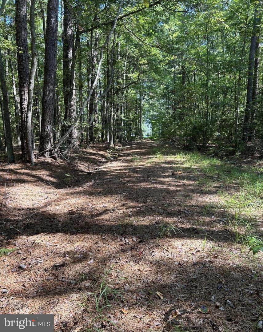 0 Oak Dr. - Photo 1