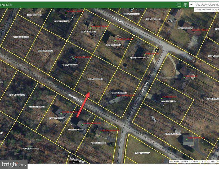 0 Old Woods Road - Photo 1