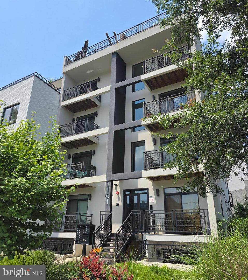 1101 Fern Street - Photo 1