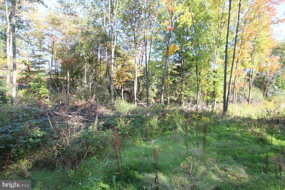 0 Hospital Avenue - Photo 1