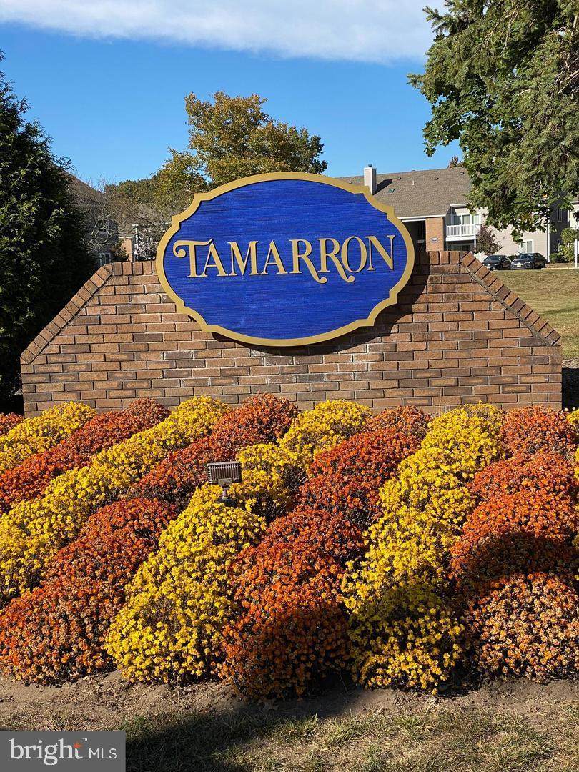 8407 Tamarron Drive - Photo 1