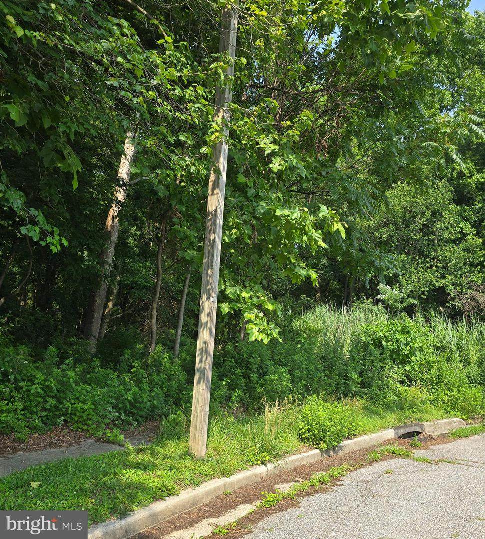 6 East Ackley Terr - Photo 1