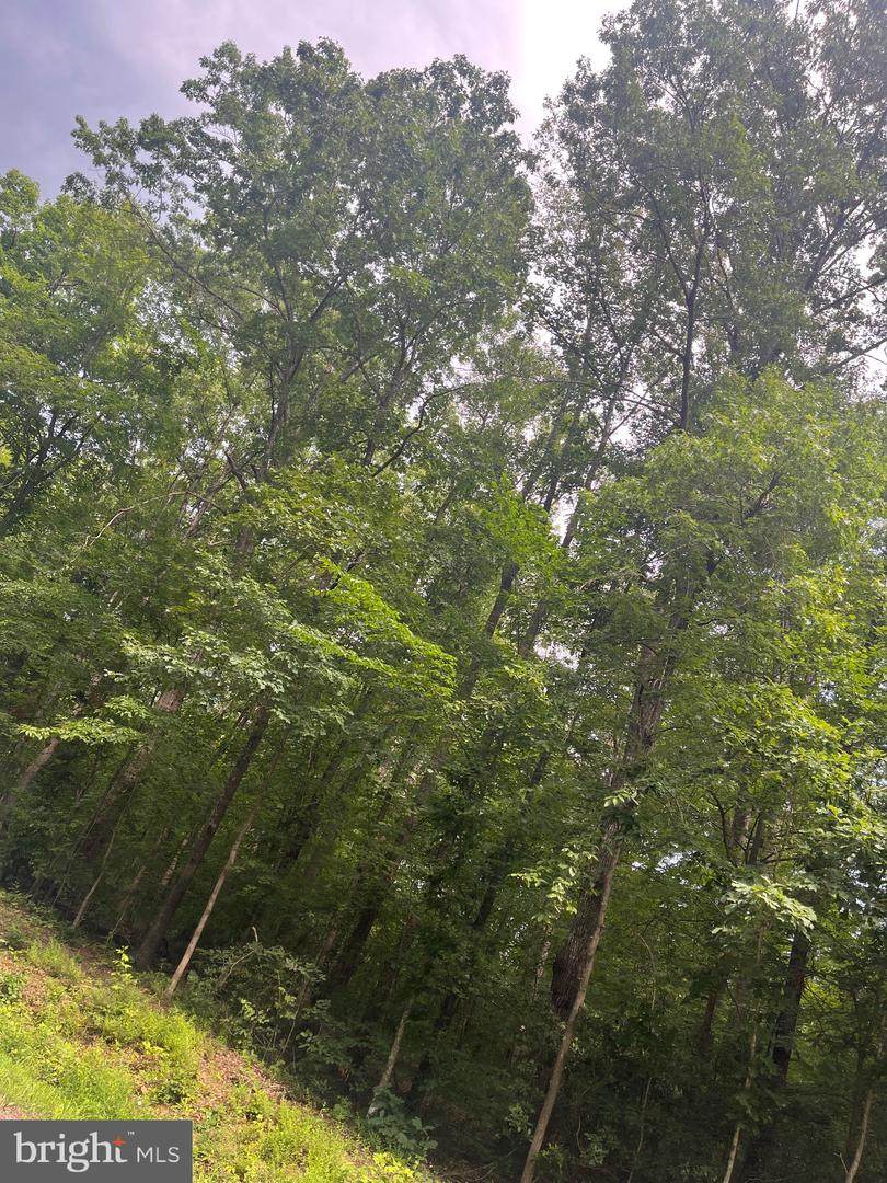 0 Meander Run Road - Photo 1