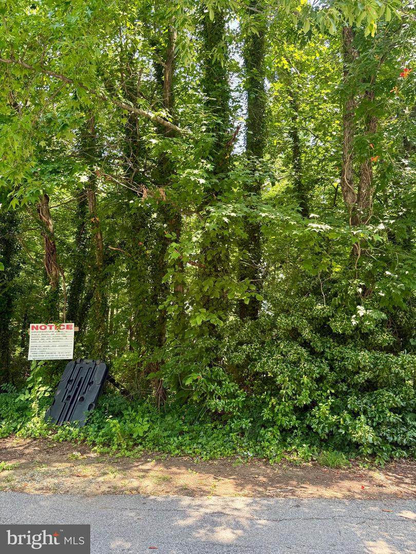 509 Overhill Drive - Photo 1