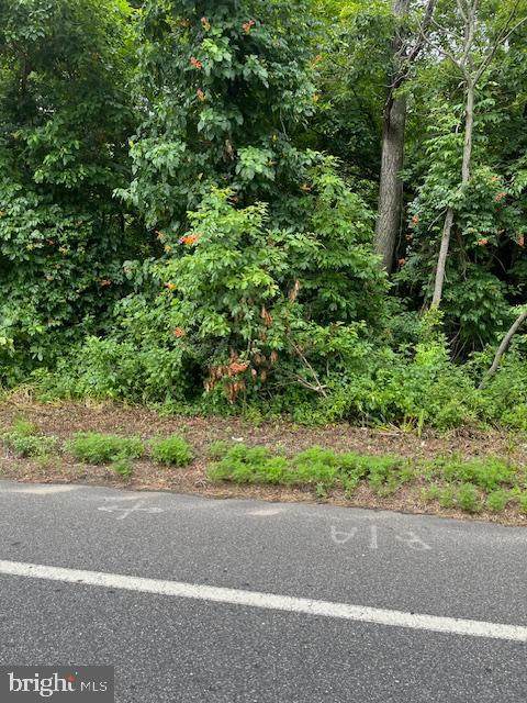 150 Jackson Road - Photo 1