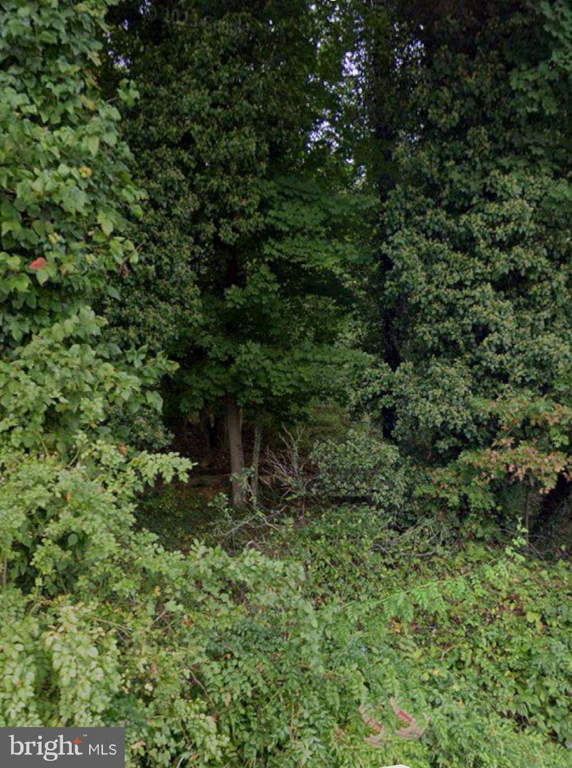  Rollins Avenue - Photo 1
