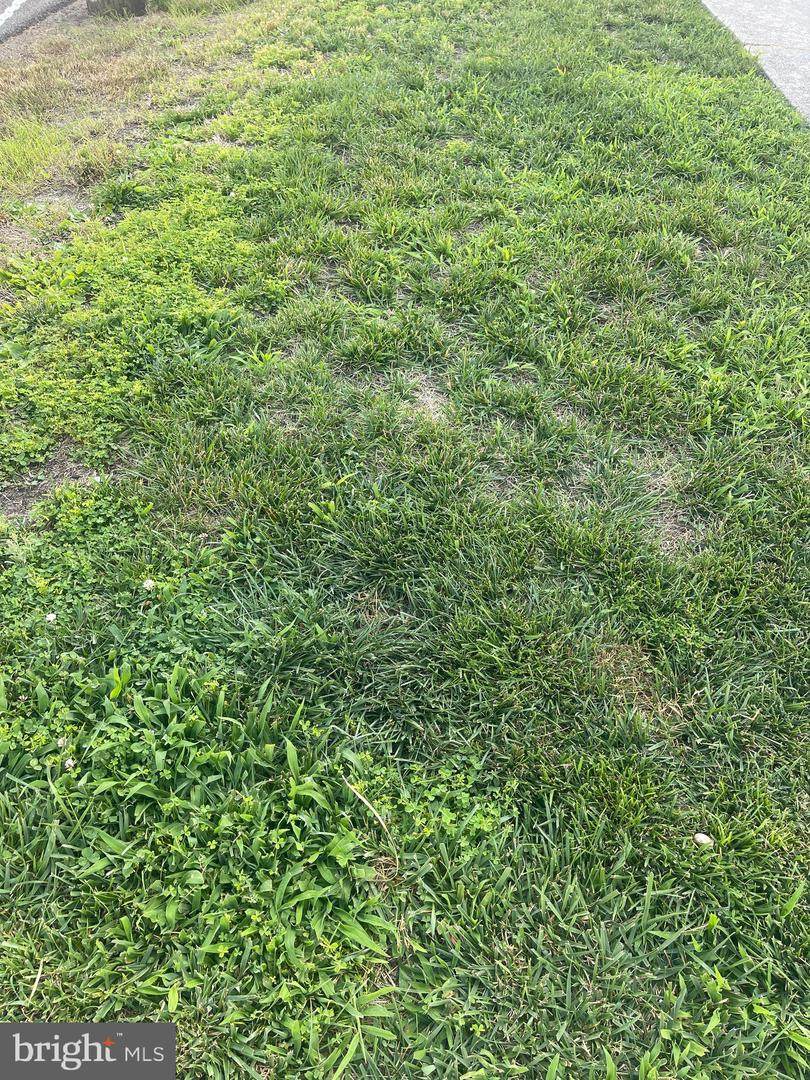 3149 Stillman Street - Photo 1