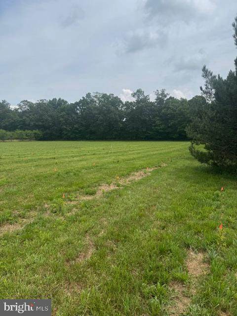 Lot #11 Cold Springs Rd - Photo 1