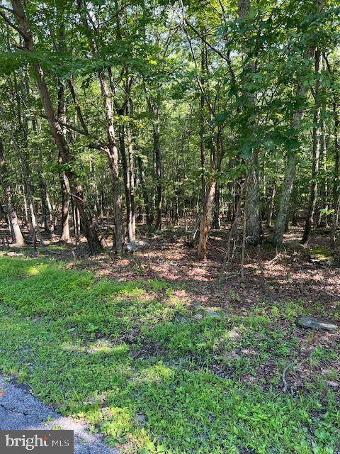  Pocono Forested Drive - Photo 1