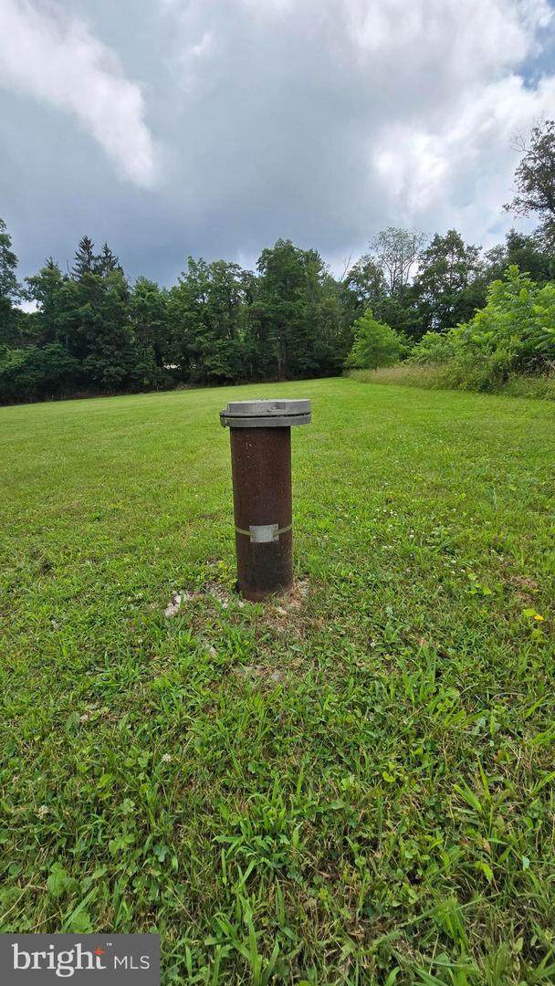 14917 Foxville Deerfield Road - Photo 1