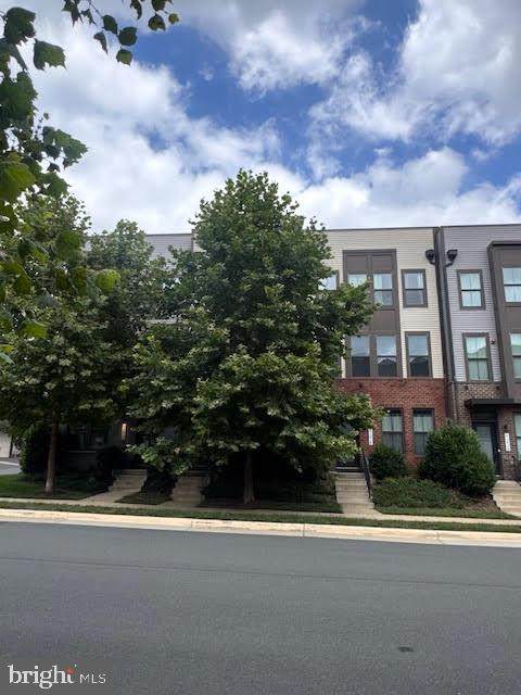 43432 Apple Orchard Square - Photo 1