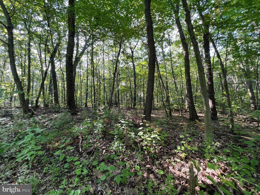 117 & 118 Kittanning (Overland Pass) Run - Photo 1