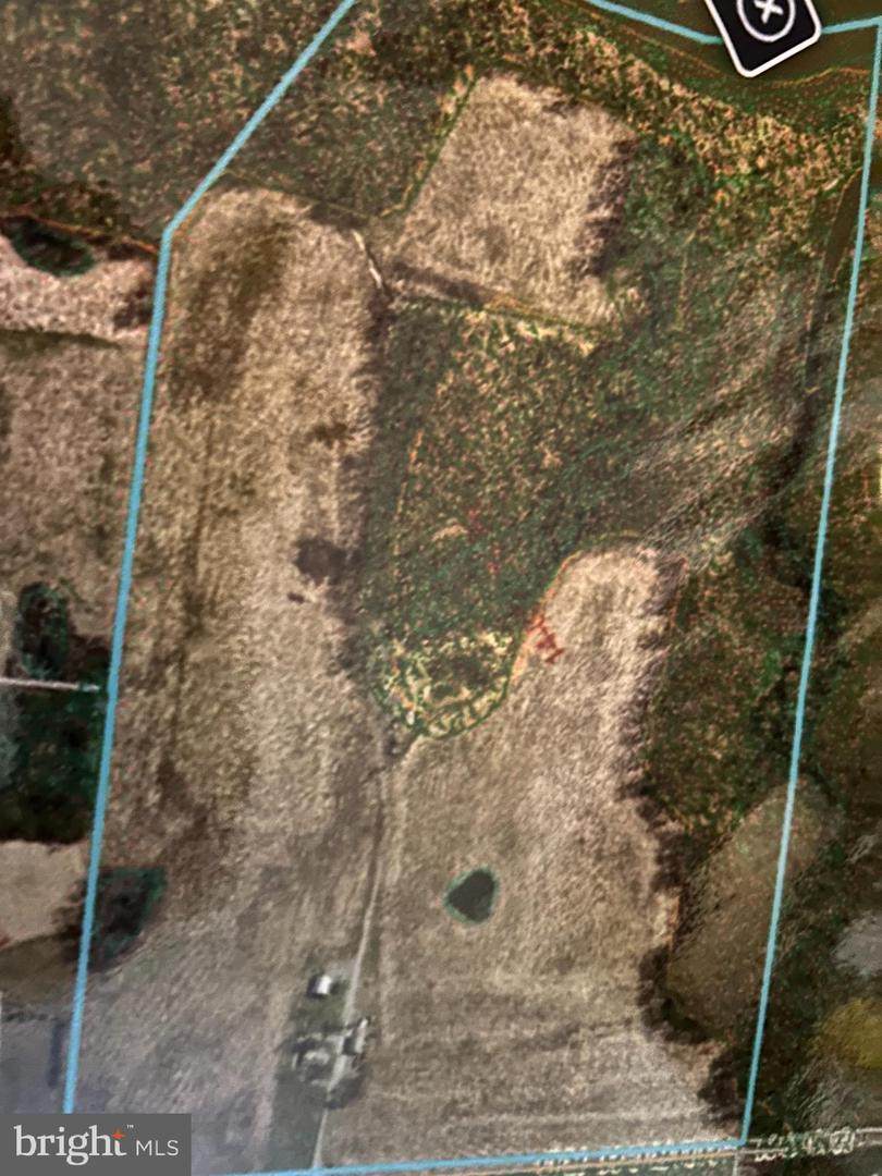 556 Union Church Road - Photo 1