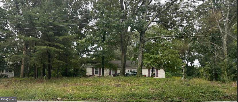 231 Obrecht Road - Photo 1