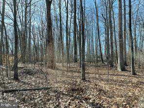 7120 Dominique Drive - Photo 1